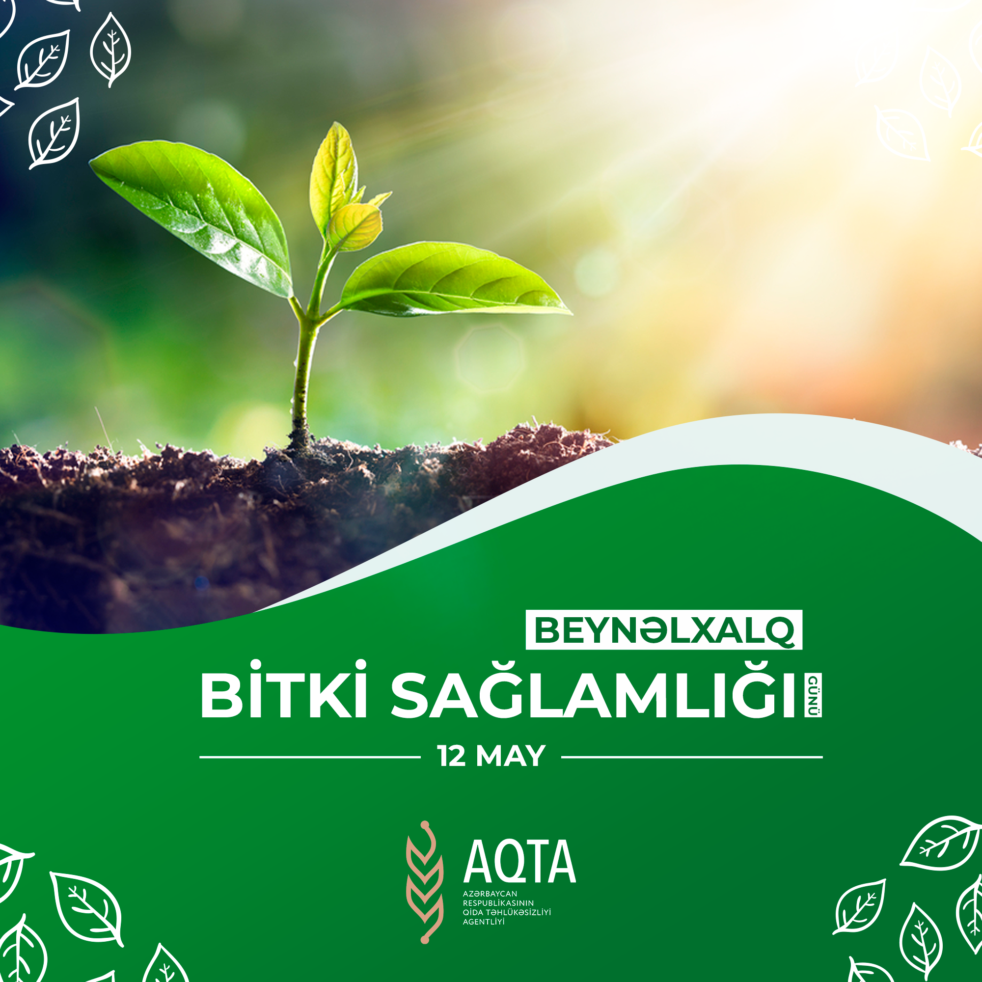 12 May - Beynəlxalq Bitki Sağlamlığı Günüdür