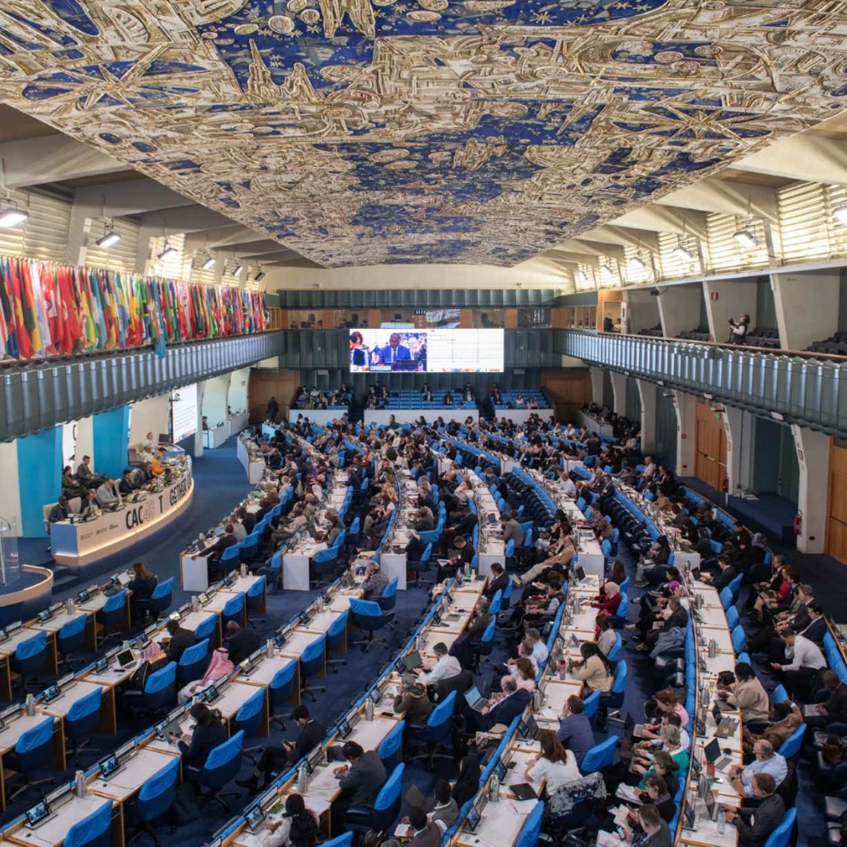 Azərbaycan beynəlxalq qida təhlükəsizliyi proseslərində aktiv mövqe sərgiləyir