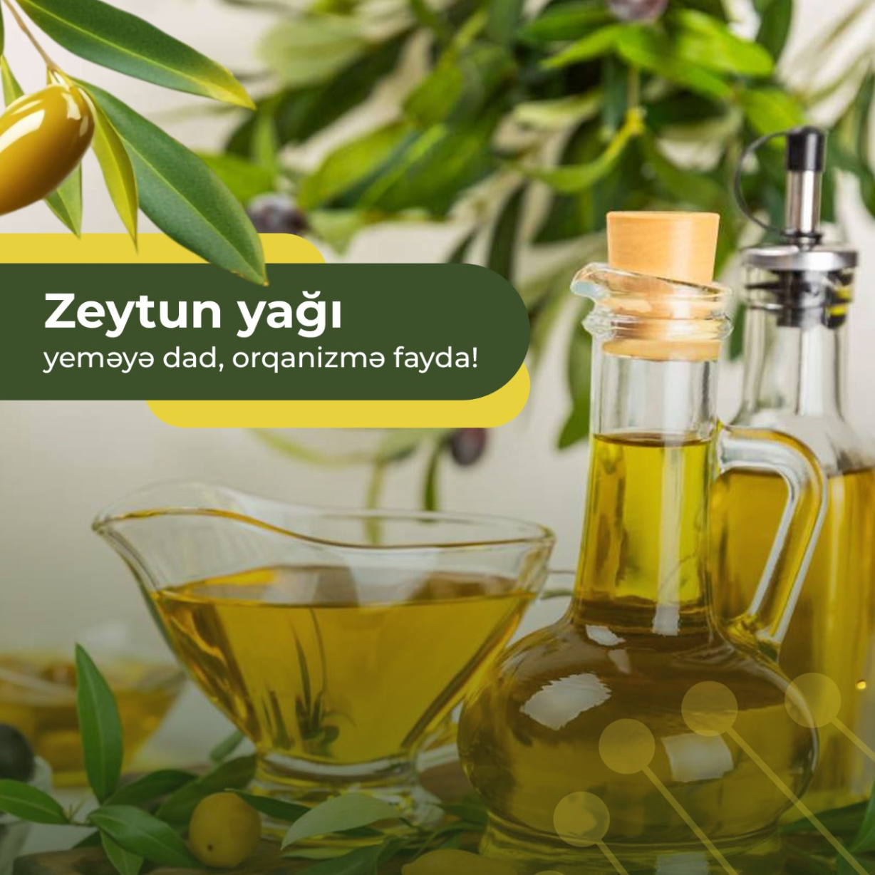 Zeytun yağı yeməyə dad, orqanizmə fayda!