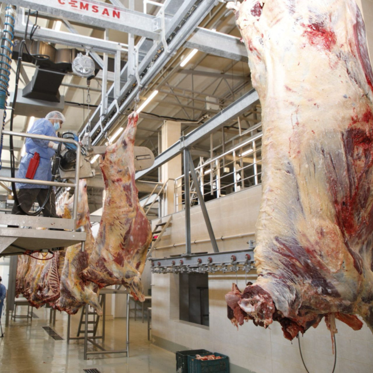 AQTA Qurban bayramı ilə bağlı jurnalistlər üçün infotur təşkil edib