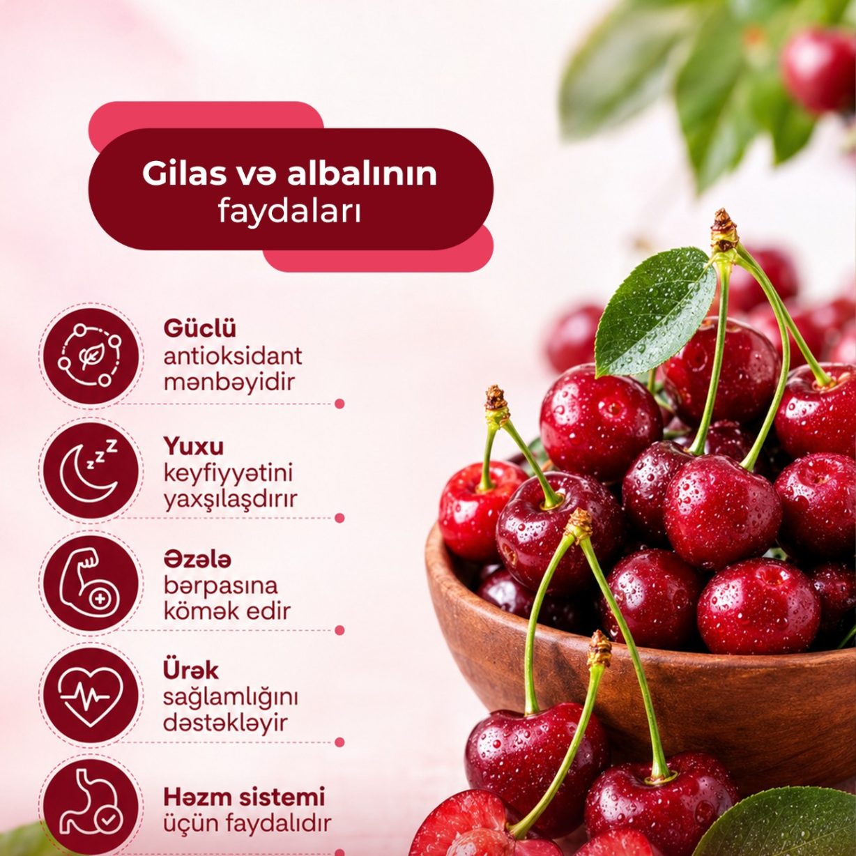 Gilas və albalının faydaları