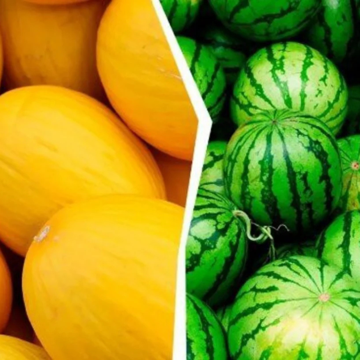 Qarpız və yemiş istehlak edərkən nələrə diqqət etməliyik?