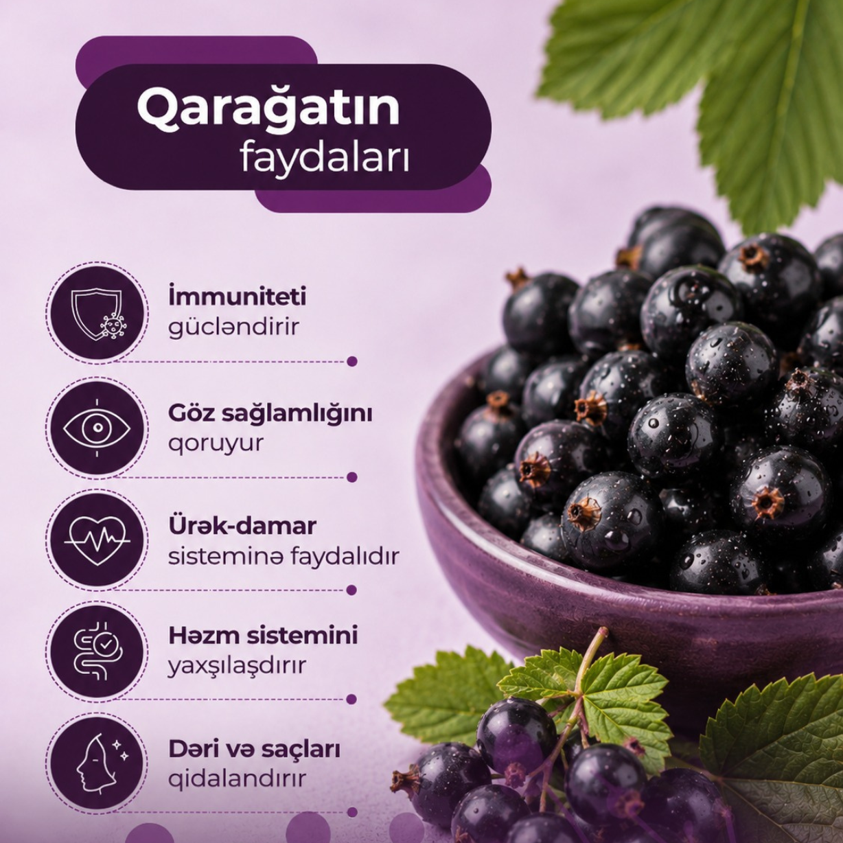 Qarağatın faydaları