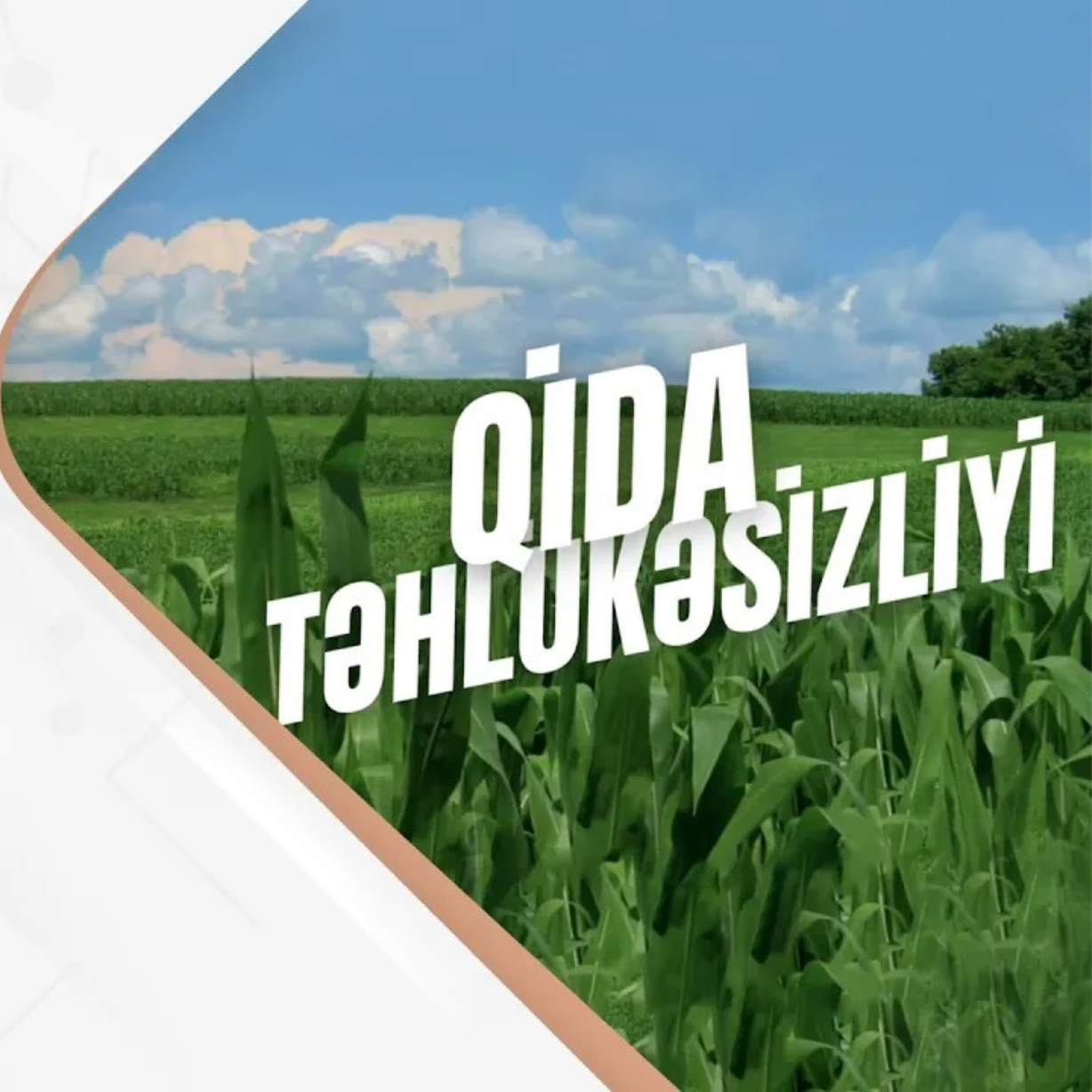 Sağlam gələcək haradan başlayır?