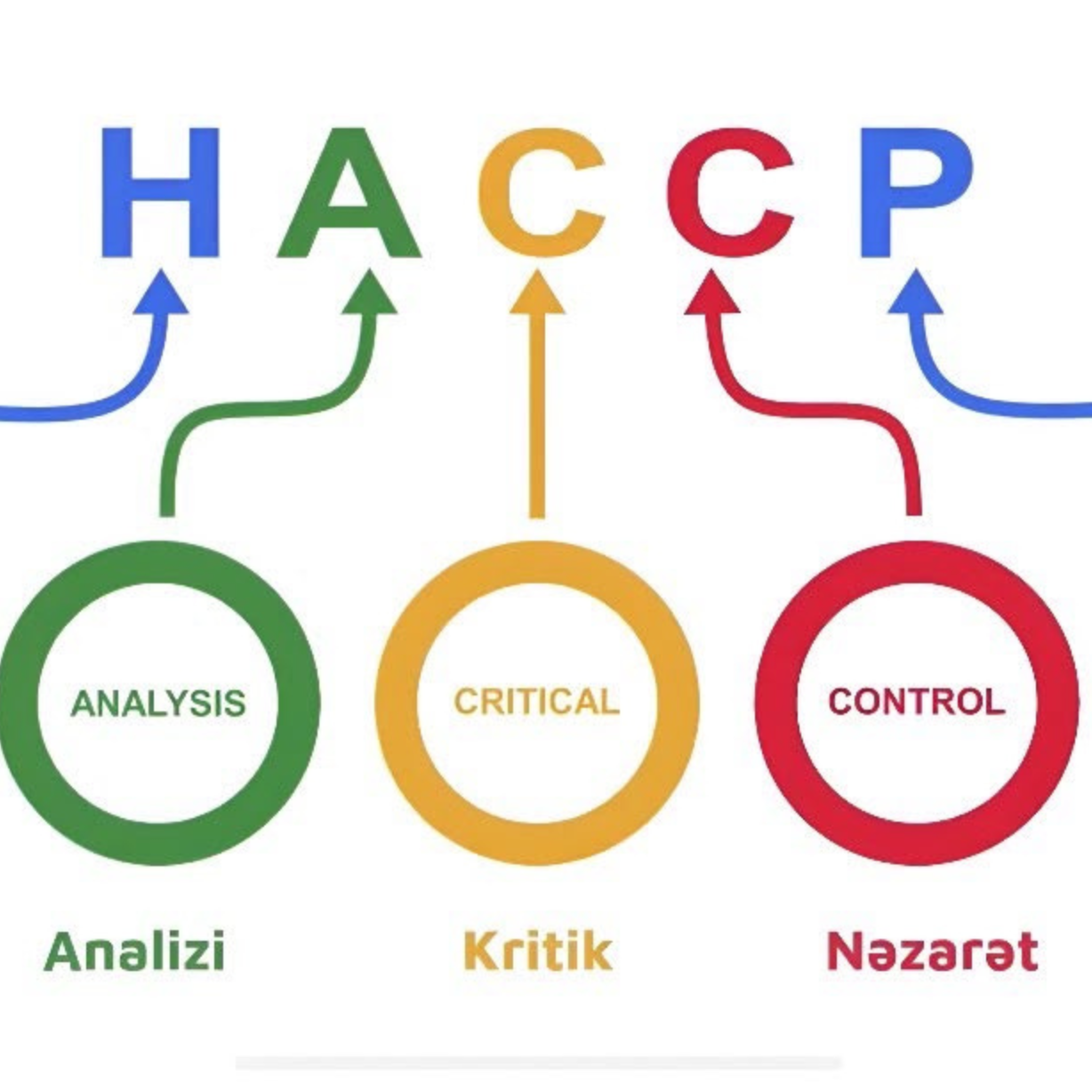 Kritik Nəzarət Nöqtəsi (CCP) nədir?