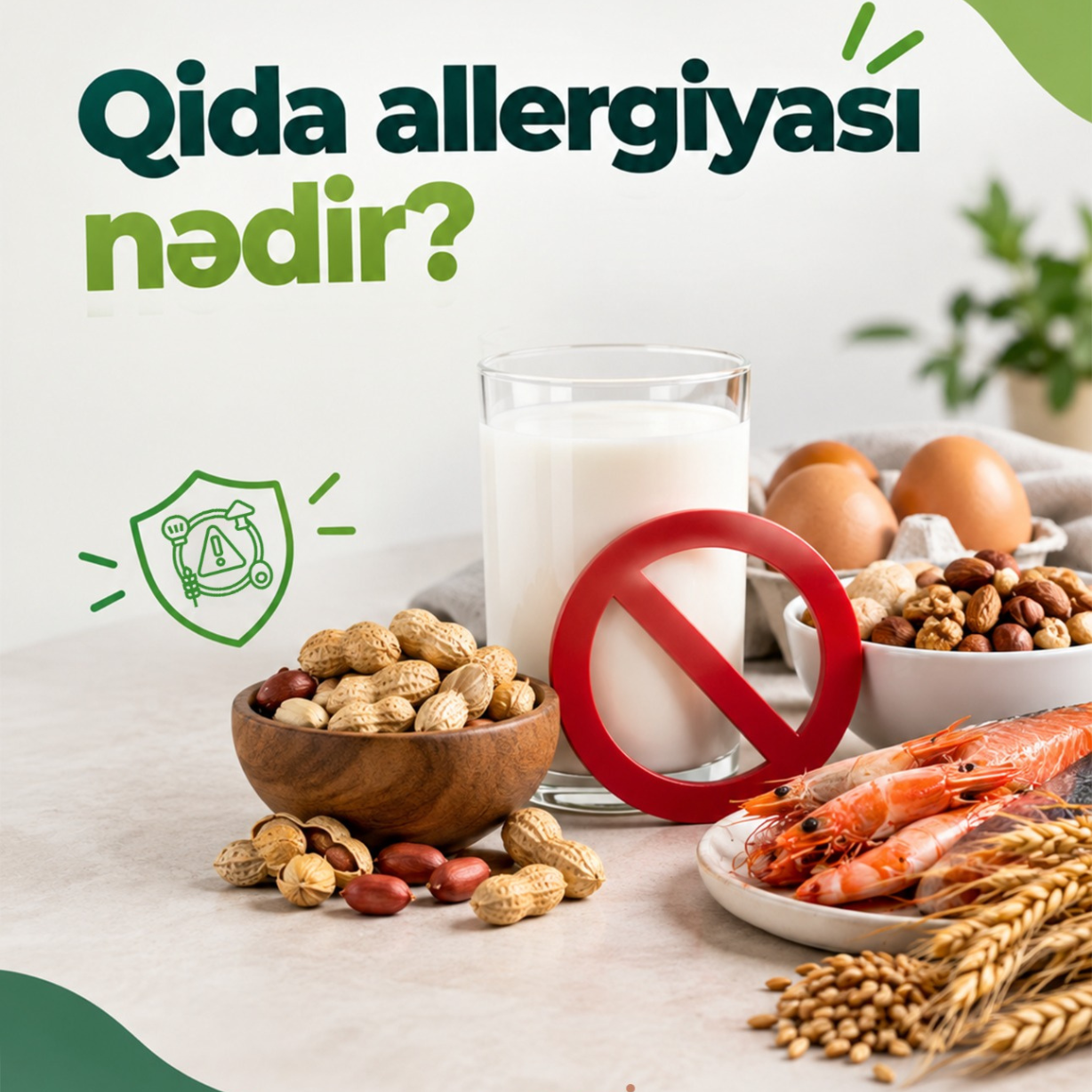 Qida allergiyası nədir?
