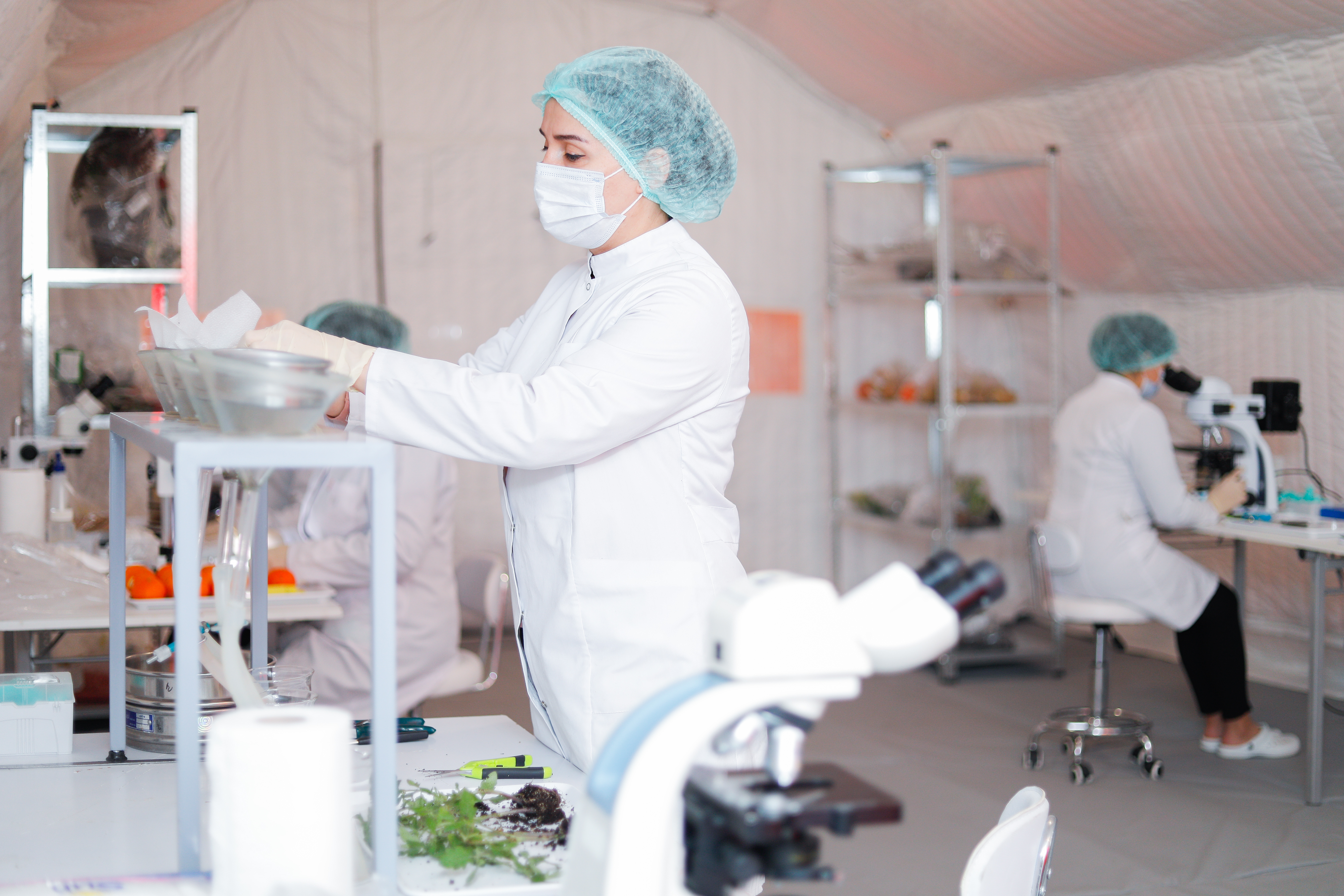 Azərbaycanda ilk dəfə olaraq Səyyar Fitosanitar Laboratoriya fəaliyyətə başlayıb