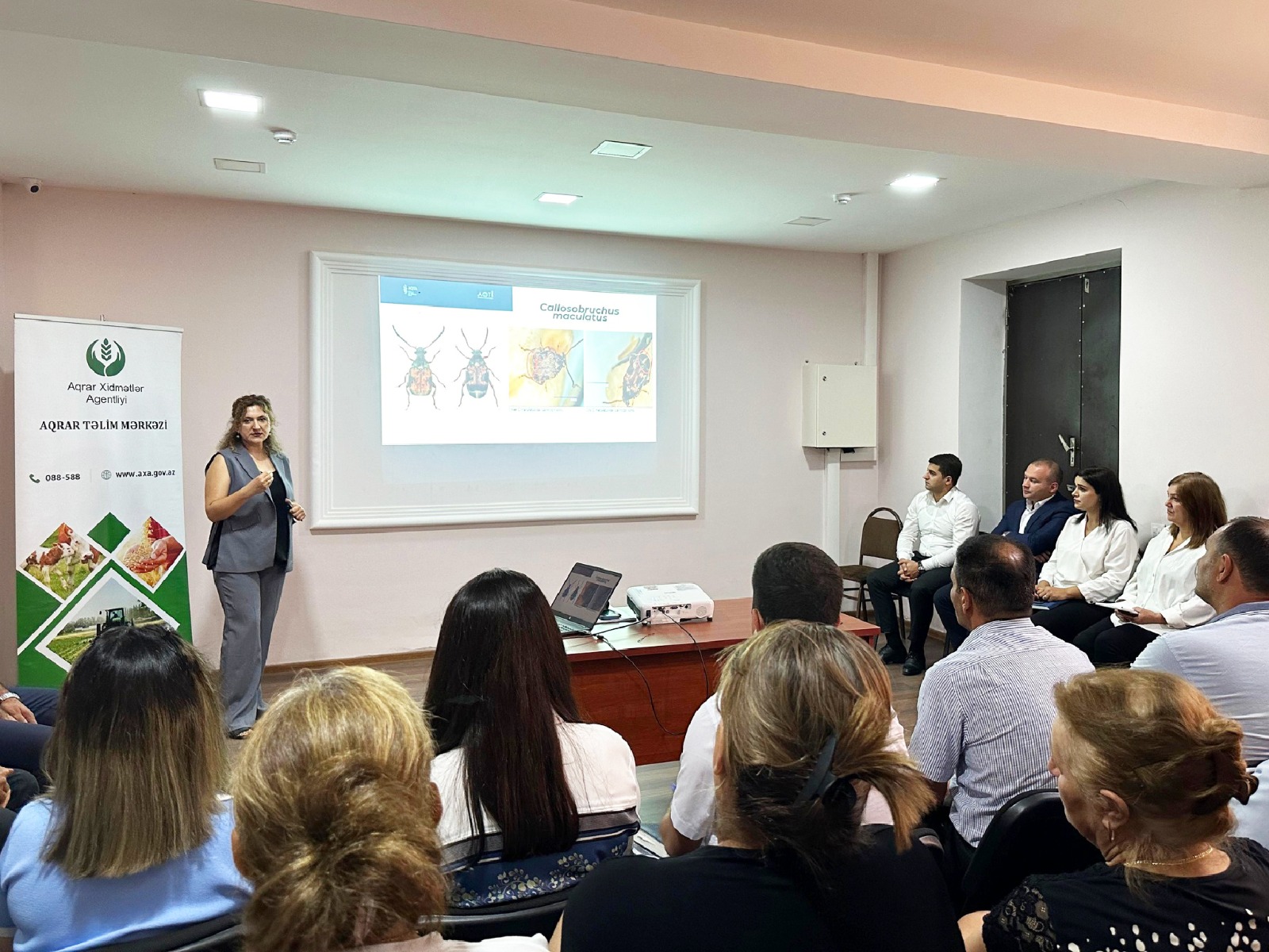 Salyanda sahibkarlar üçün təlim keçirilib