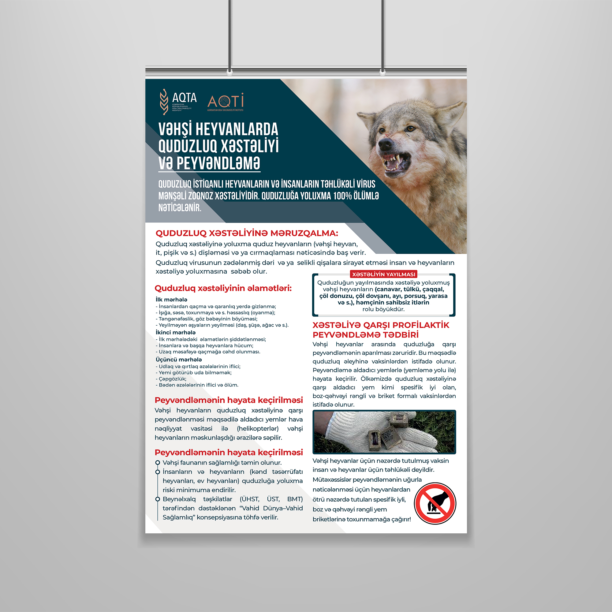 Vəhşi heyvanlarda quduzluq xəstəliyi və peyvəndləmə ilə bağlı maarifləndirici materiallar hazırlanıb