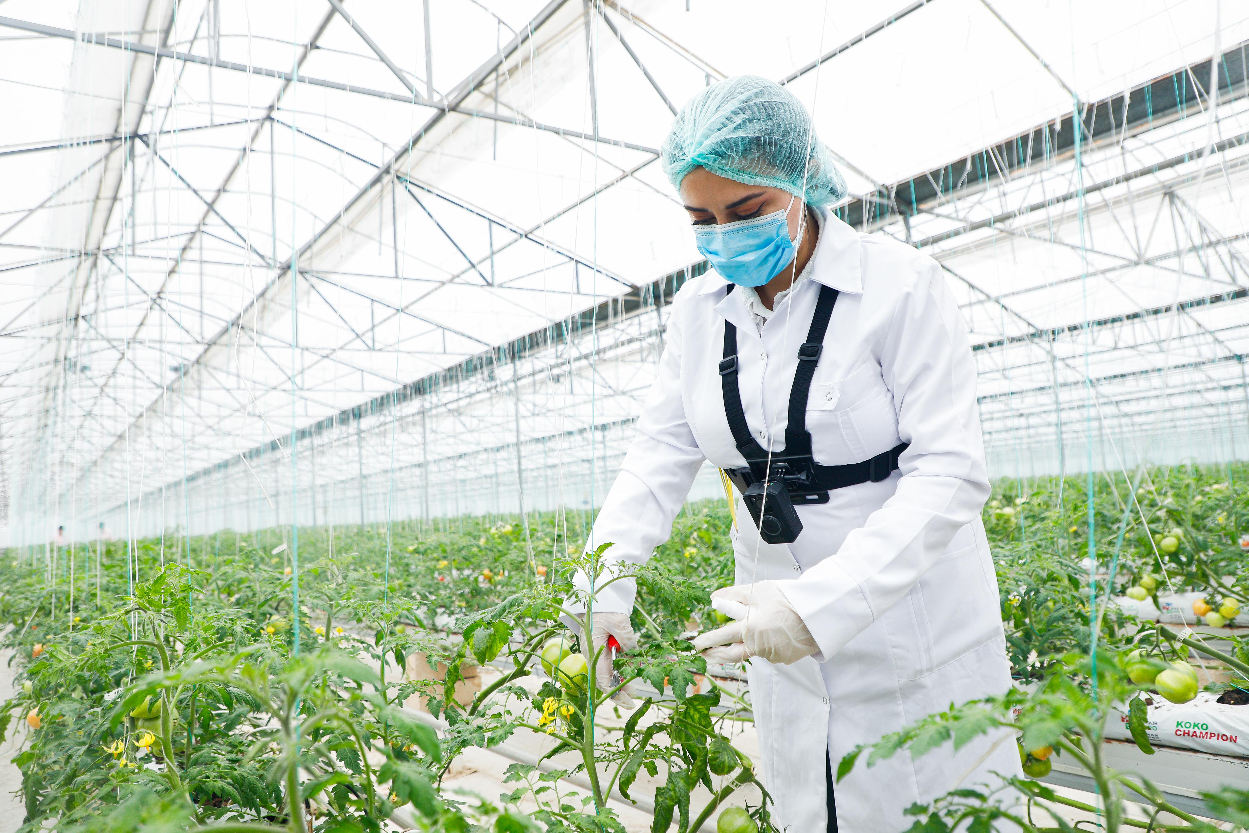 Şəmkirdə AQTİ-nin yeni Çadır tipli Səyyar Fitosanitar Laboratoriyası qurulub