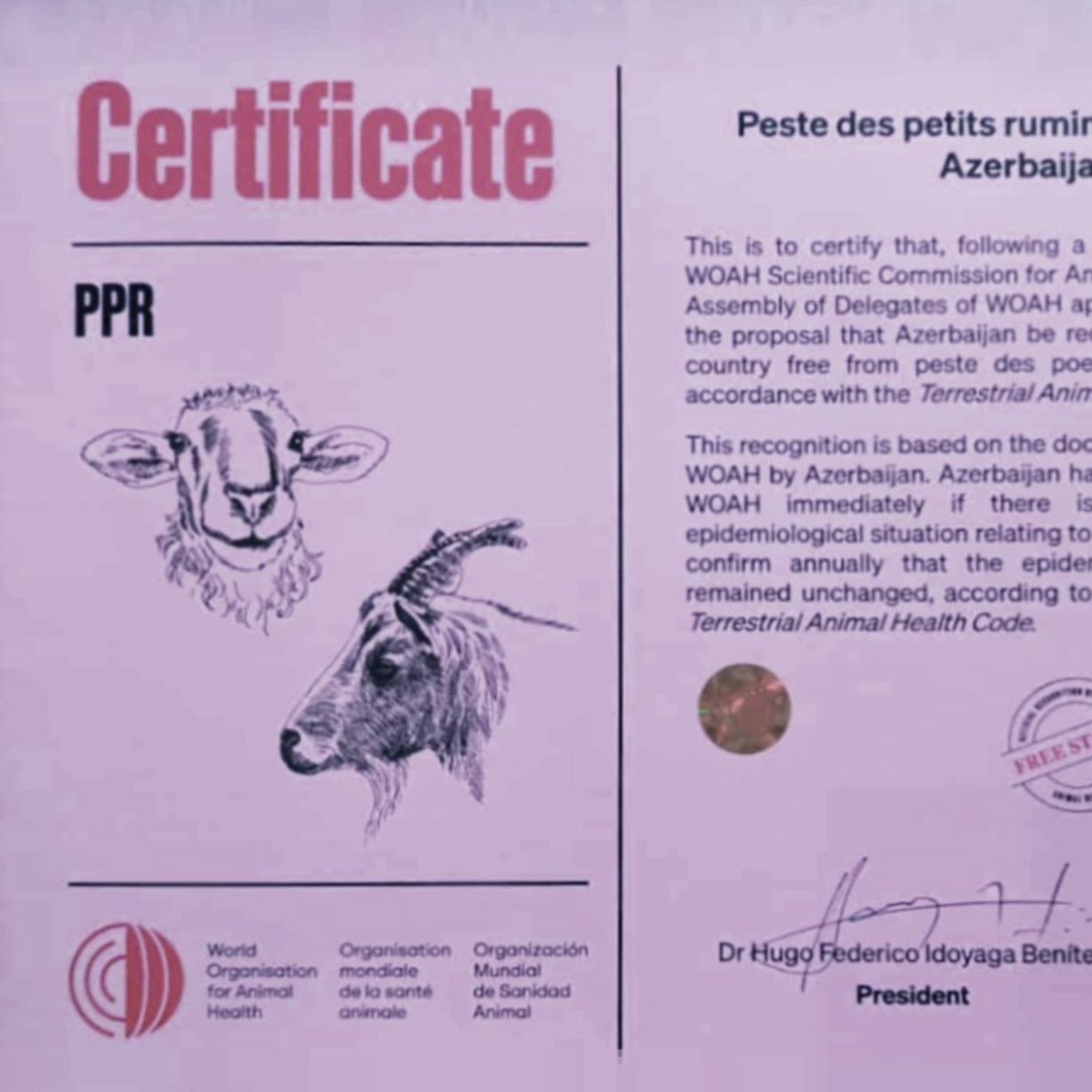 Parisdə keçirilən beynəlxalq tədbirdə Azərbaycan xüsusi sertifikata layiq görülüb